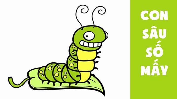 Con Sâu số mấy? Mơ thấy Sâu đánh đề con gì chuẩn?