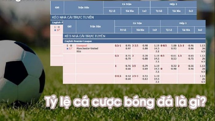Những điều cần biết về tỷ lệ cá độ bóng đá dành cho người mới