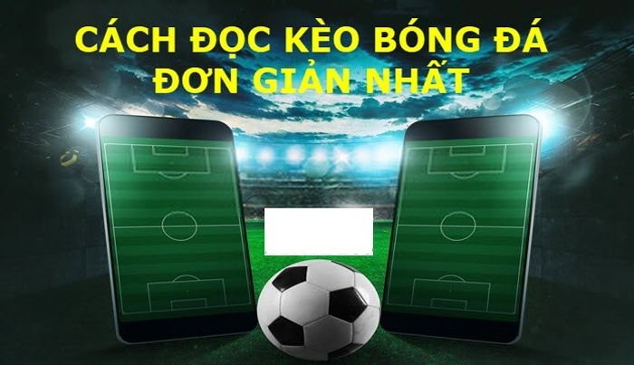 Hướng dẫn cách đọc kèo bóng đá đơn giản dễ hiểu