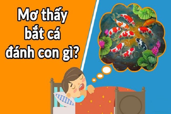 Mơ thấy bắt cá đánh con gì? Báo điềm báo gì?