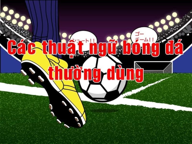 Những thuật ngữ trong cá độ bóng đá cho người mới chơi