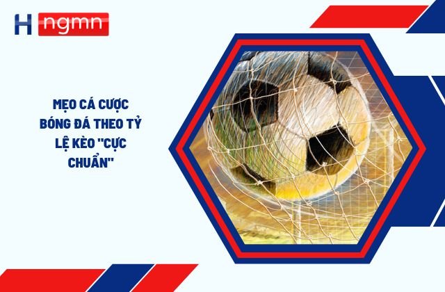 Mẹo cá cược bóng đá theo tỷ lệ kèo