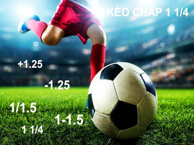 Có khá nhiều kiểu cược kèo châu Á 1/4